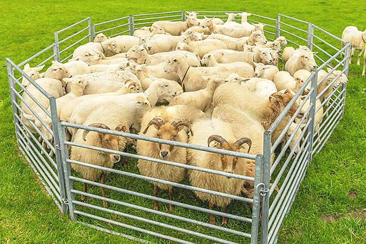Sheep Fence Panels suppliers